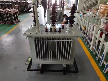 H61 Oil 33/0.4KV Dağıtım Trafosu